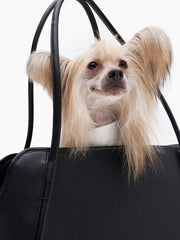 Pet traveling bag