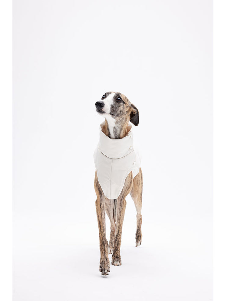dogs designer coat