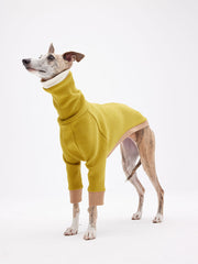 Italian greyhound sweater