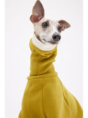 Burnt Yellow italian greyhound sweaters