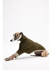 italian greyhound jacket