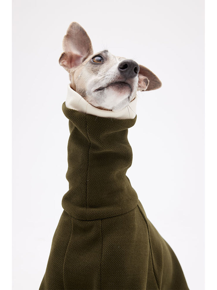 Dogs turtleneck sweatshirt