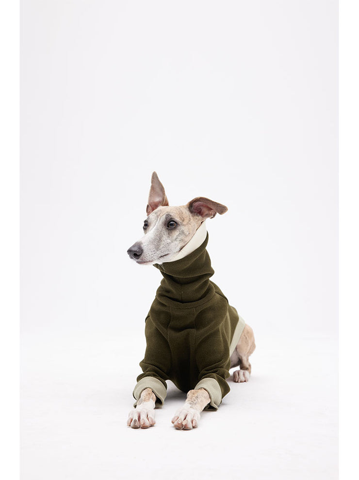 italian greyhound sweaters 