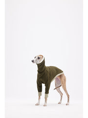 iggy italian greyhound clothes