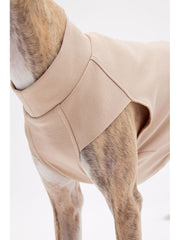 Dog fitted undershirt
