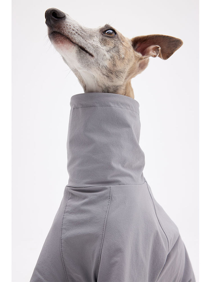 body suit for dogs