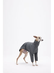 dog bodysuit Grey
