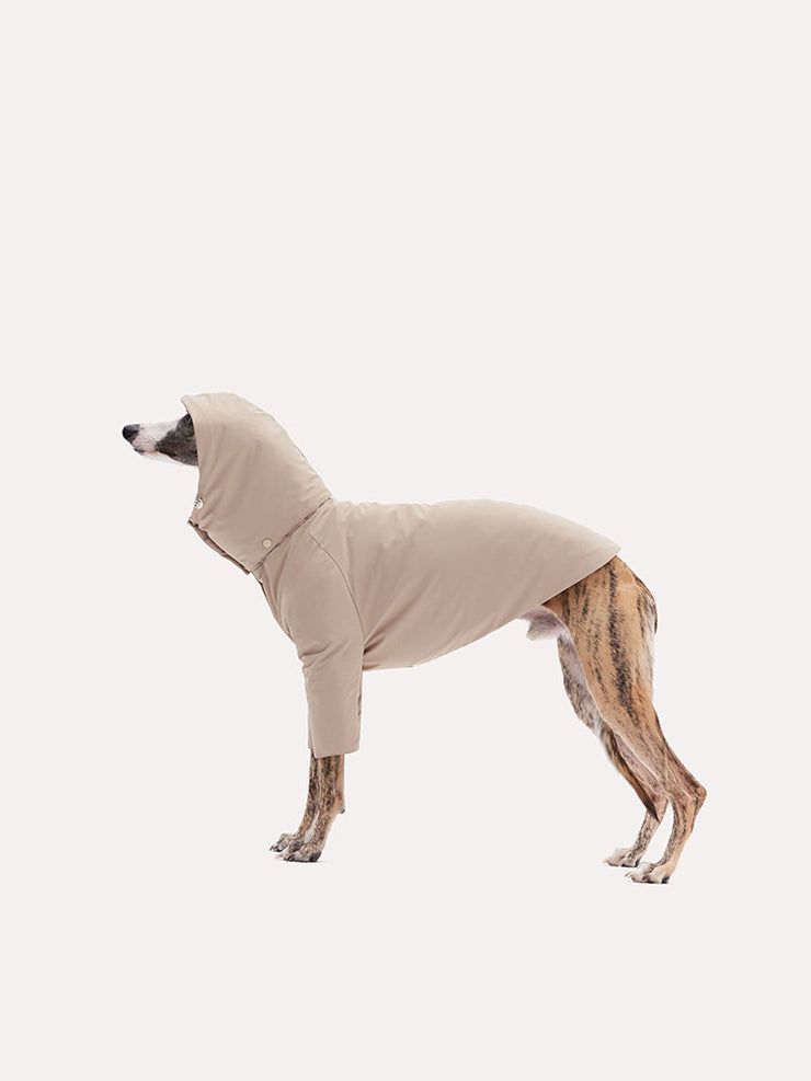 dog coat 