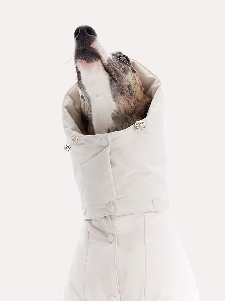 dog winter coat 