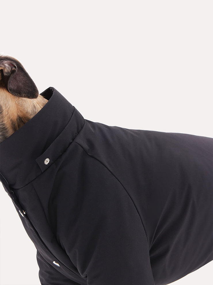 dog jackets down filled