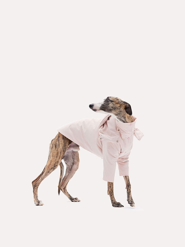 dogs pink winter coat