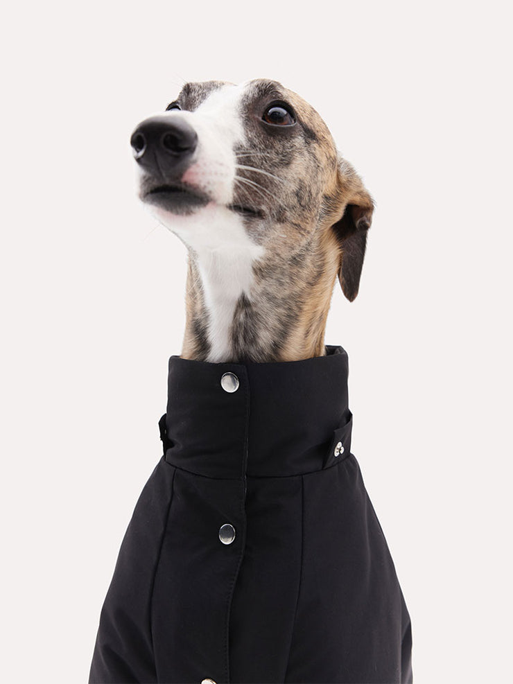 down jacket for dogs 