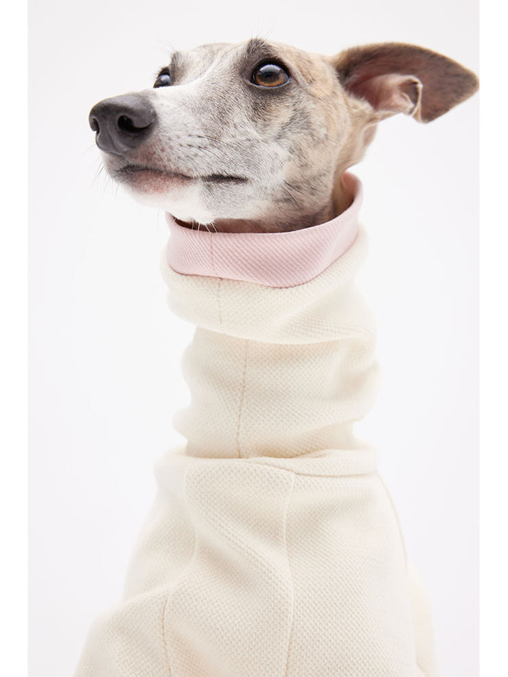 italian greyhound sweater